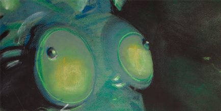 Capa 146