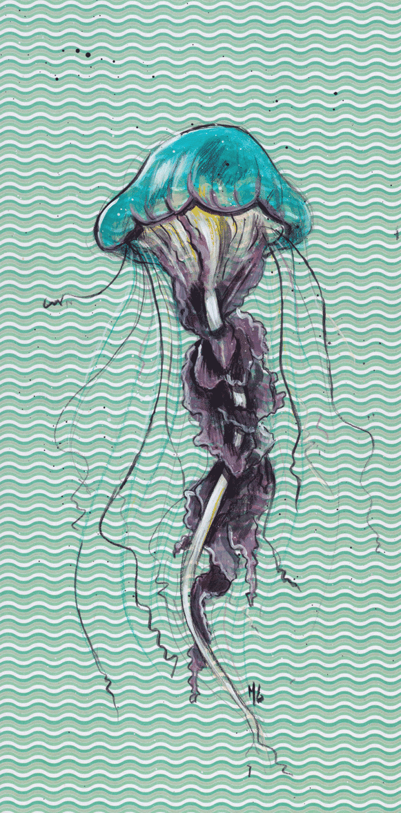 medusa-(240ppp)